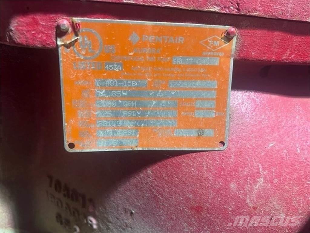  PENTAIR 6-481-15B Motori