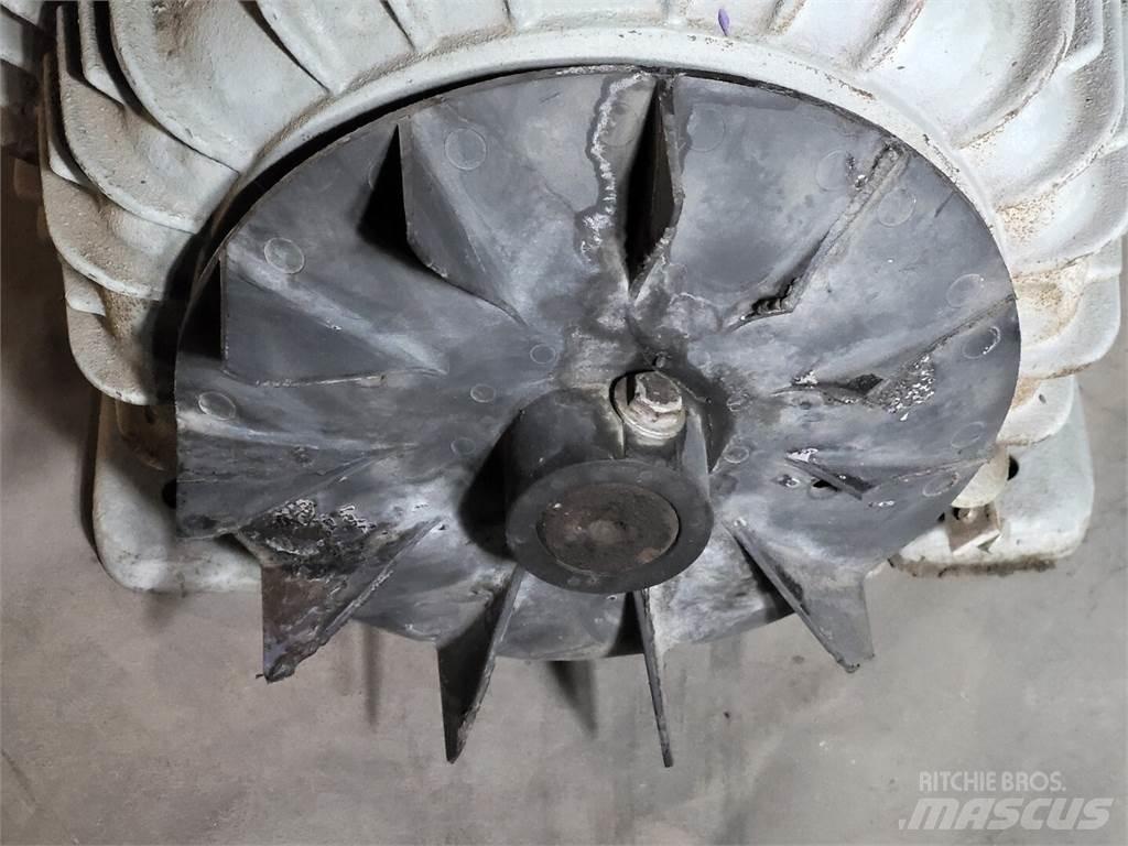Westinghouse  Motori industriali