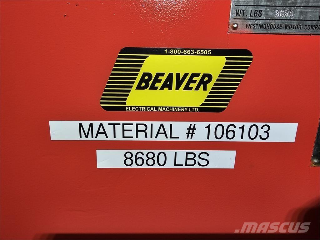 Westinghouse  Motori industriali