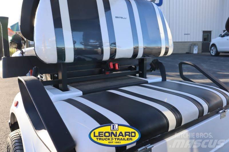  BINTELLI LSV4P Golf cart