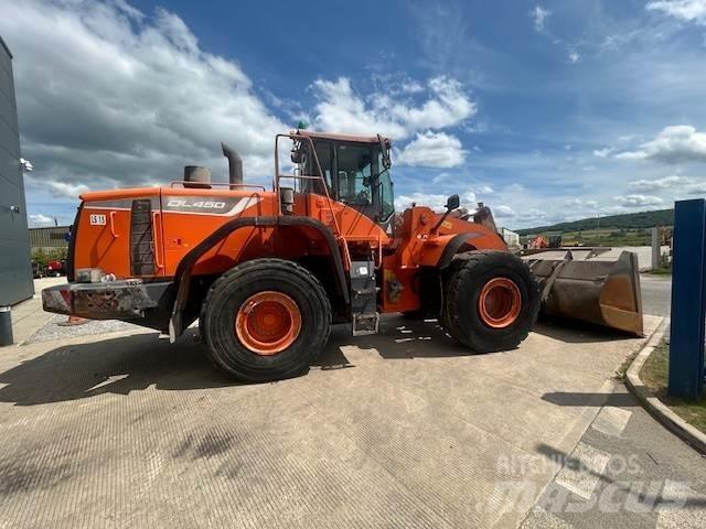 Develon Dl450-5 Pale gommate