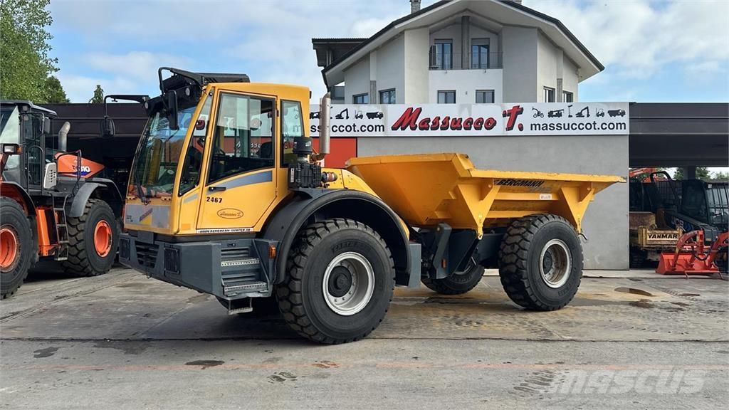 Bergmann 3012 DSK 4X4 Mini dumper