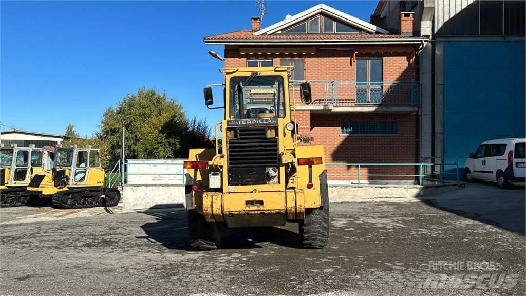 CAT IT28B Pale gommate