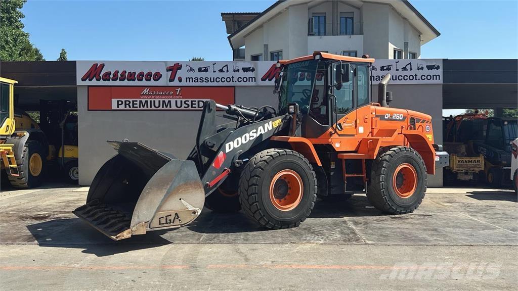 Doosan DL250-5 Pale gommate