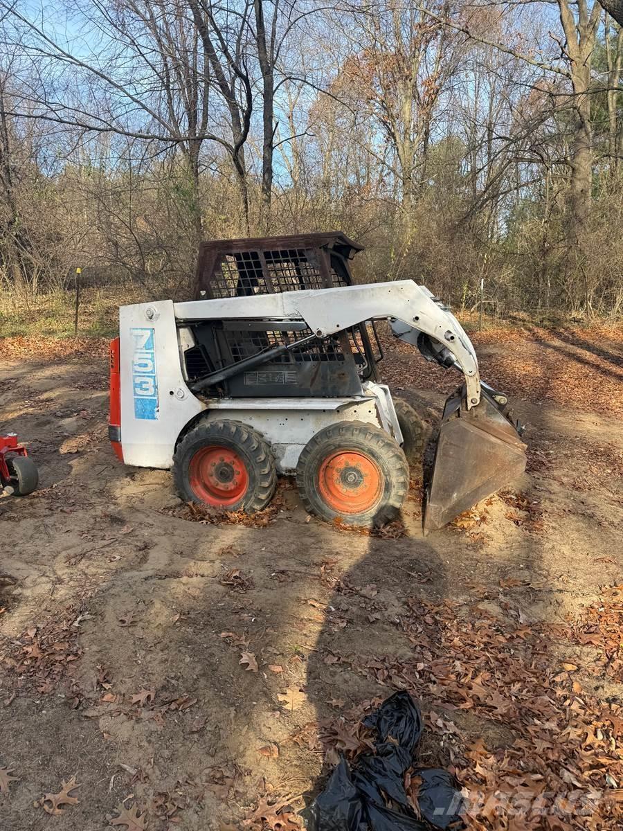 Bobcat 753 Mini Pale Gommate