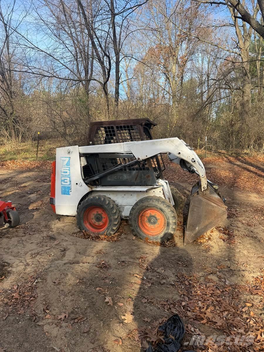 Bobcat 753 Mini Pale Gommate