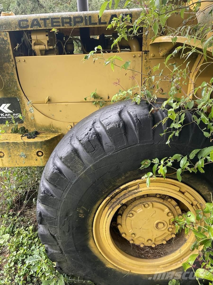 CAT 966 Pale gommate