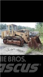 CAT 973 Pale cingolate