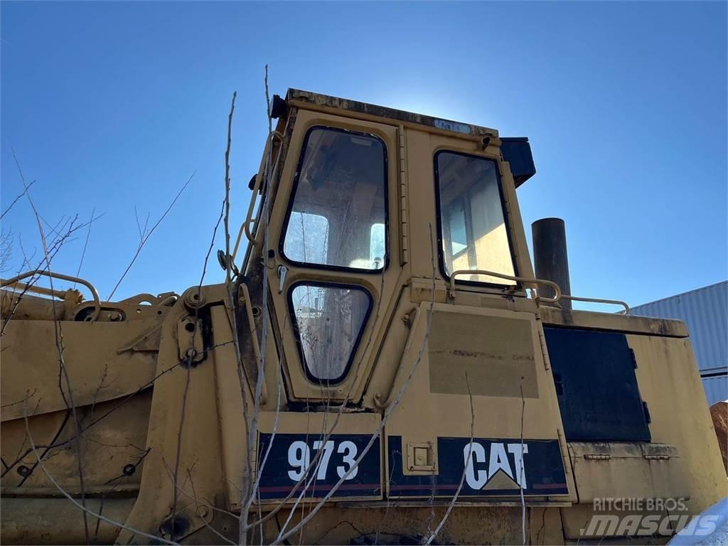 CAT 973 Pale cingolate