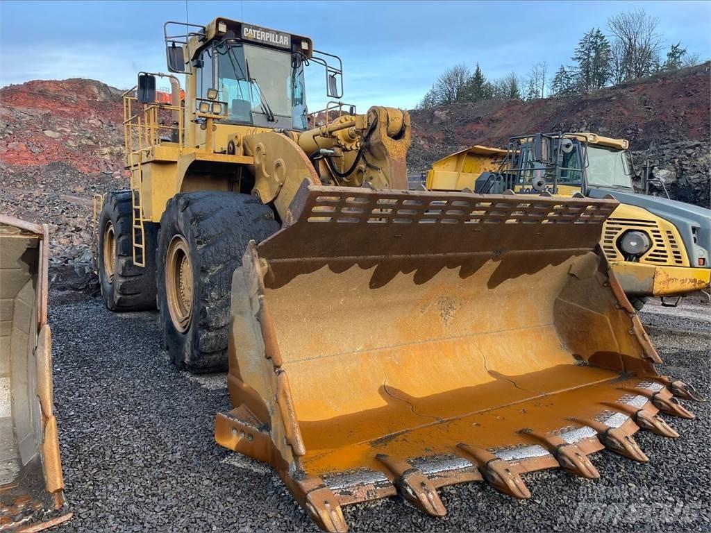 CAT 990 Pale gommate