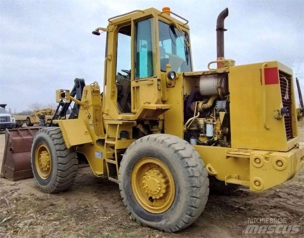 CAT IT18B Pale gommate