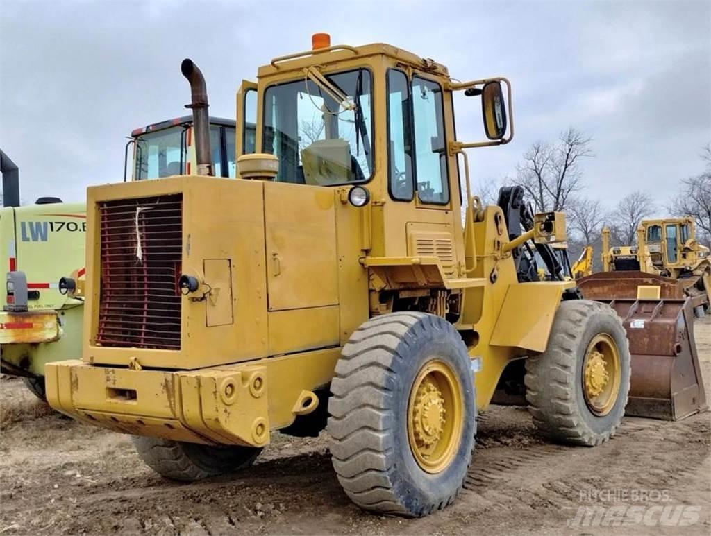 CAT IT18B Pale gommate