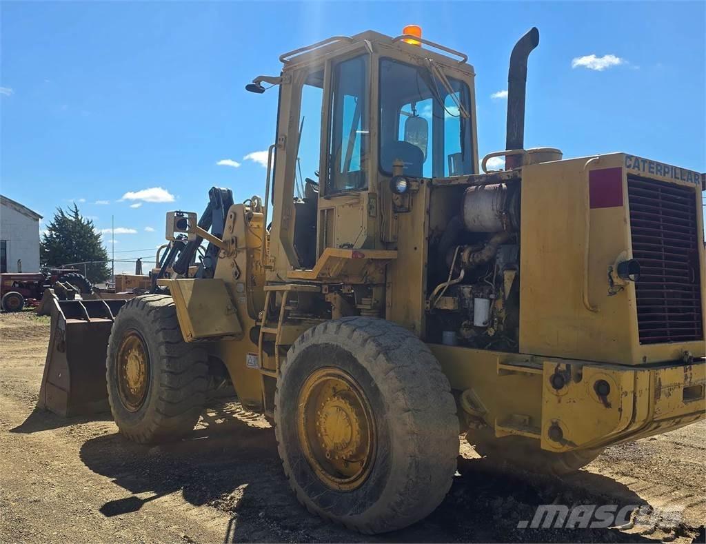CAT IT18B Pale gommate