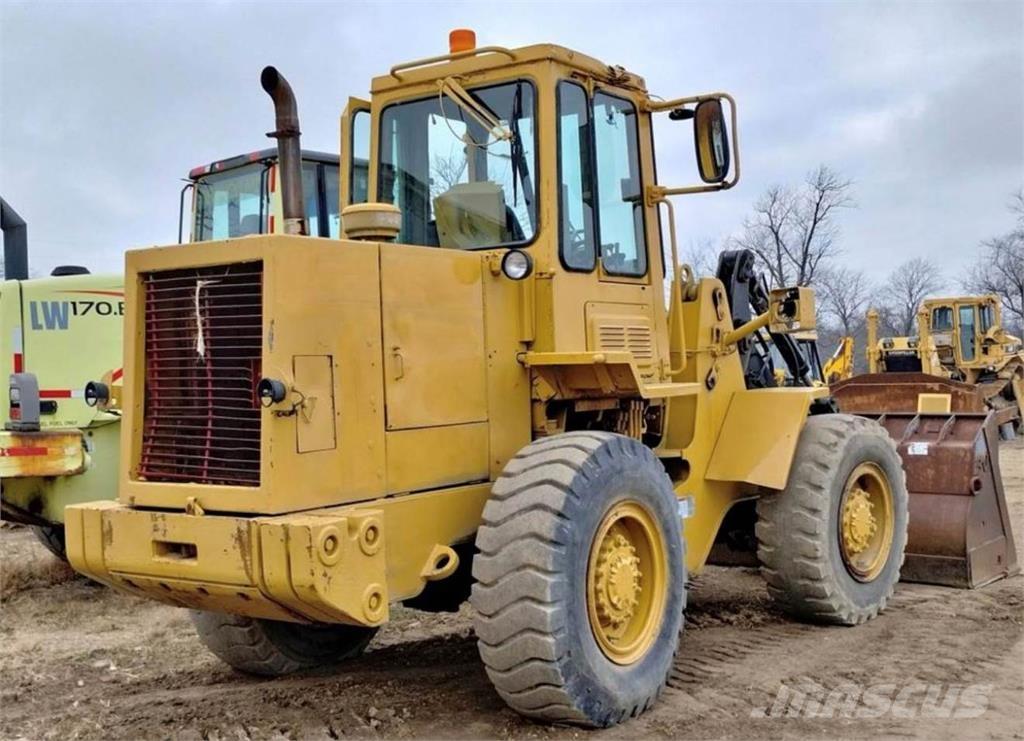 CAT IT18B Pale gommate