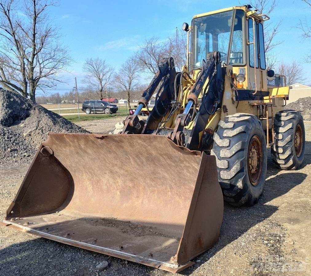 CAT IT28B Pale gommate
