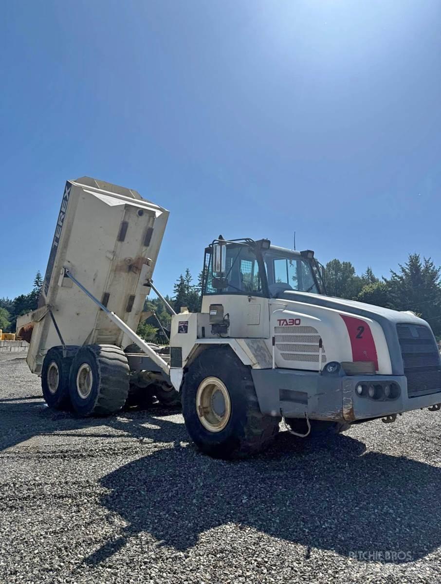 Terex TA30 Furgone chiuso