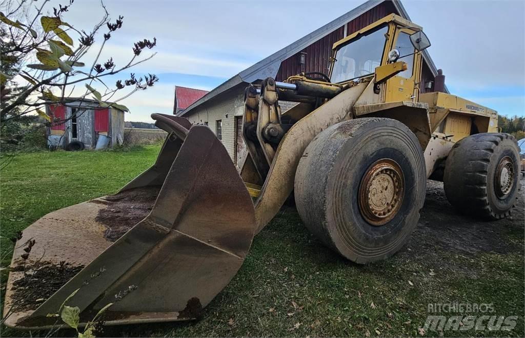 Hanomag 77C Pale gommate