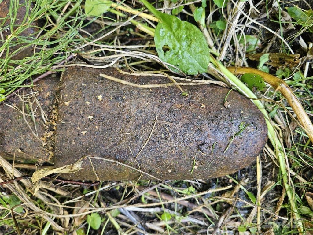  Kynsikuokkakauha Benne