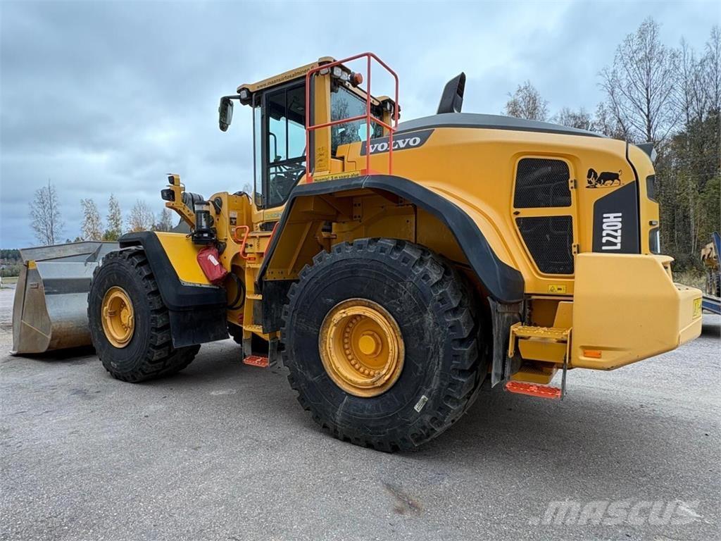 Volvo L 220 H Pale gommate