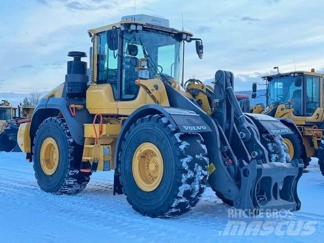 Volvo L110H Pale gommate
