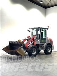 Paus RL8.7 Pale gommate