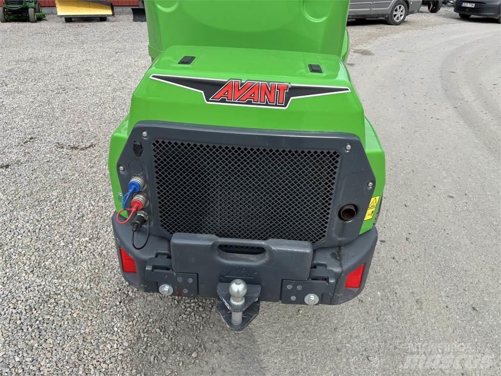 Avant 650 Mini Pale Gommate
