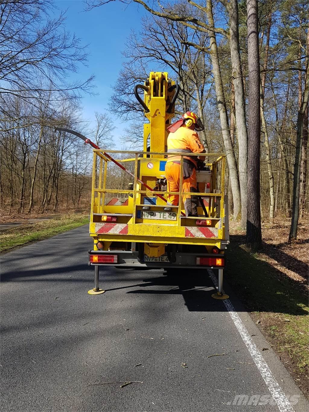 Ruthmann T 265 Piattaforme autocarrate