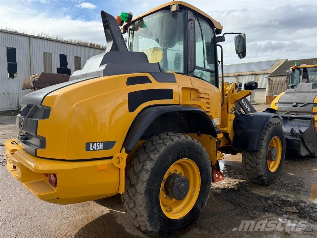 Volvo L45H Pale gommate