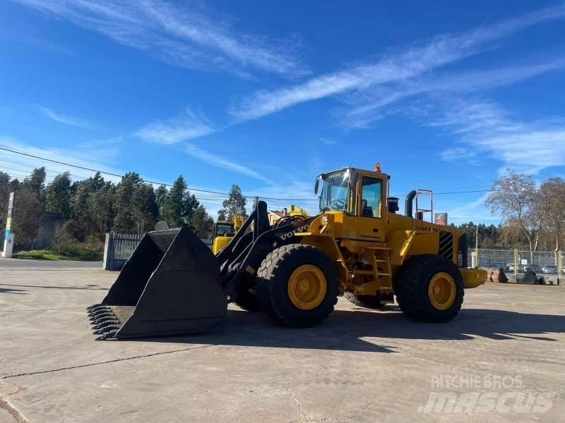 Volvo L 220 E Pale gommate