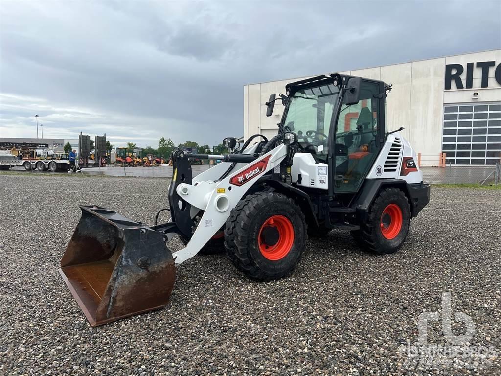 Bobcat L75 Pale gommate