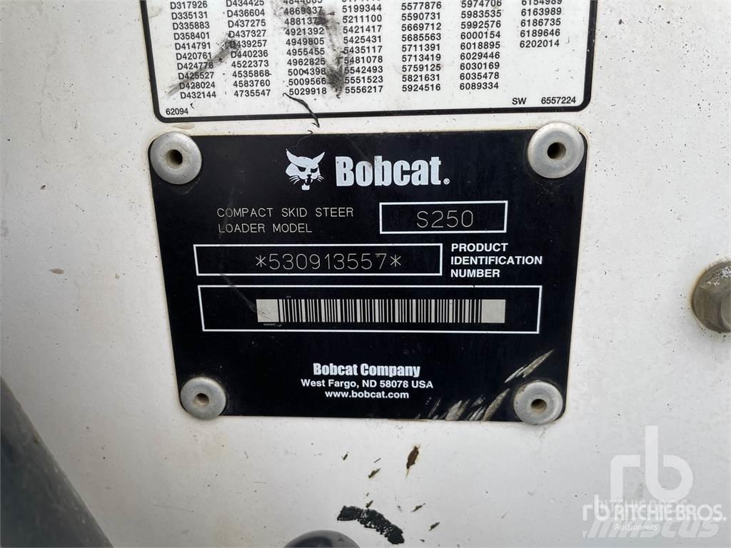 Bobcat S250 Mini Pale Gommate