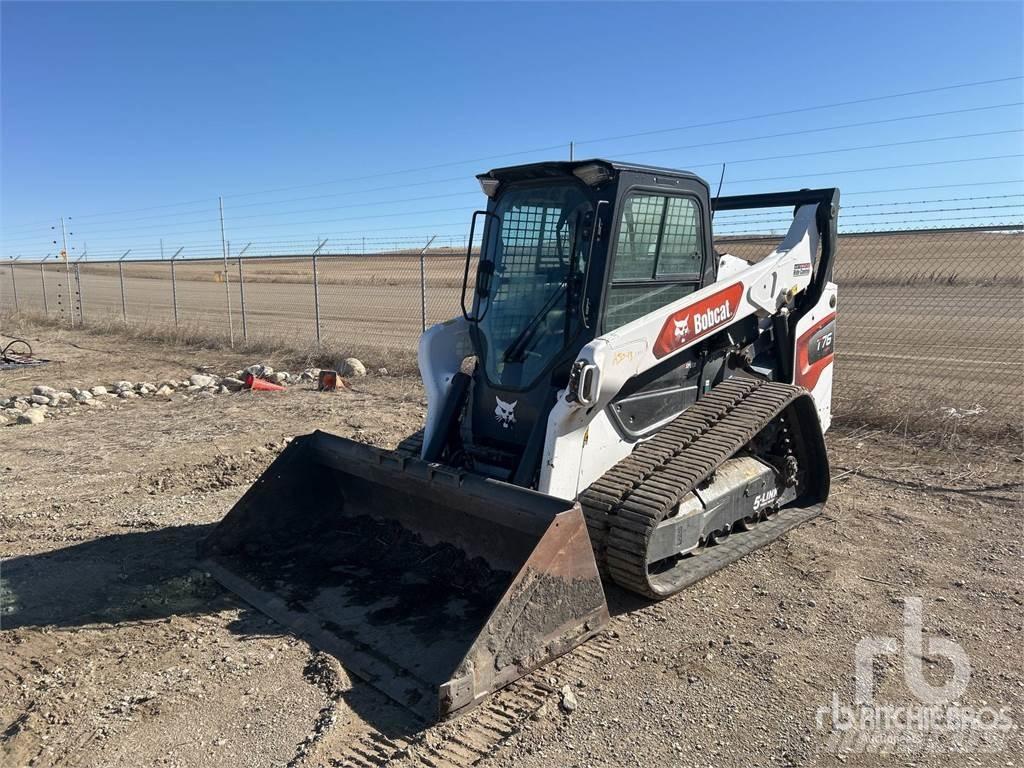 Bobcat T76 Mini Pale Gommate