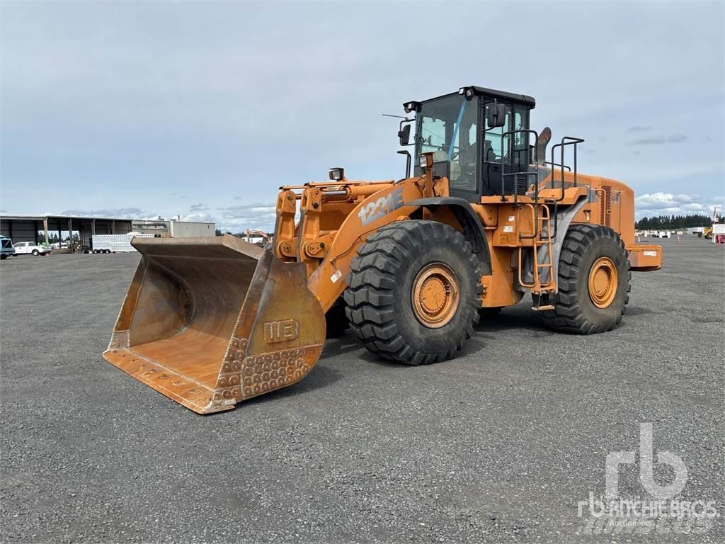 CASE 1221E Pale gommate