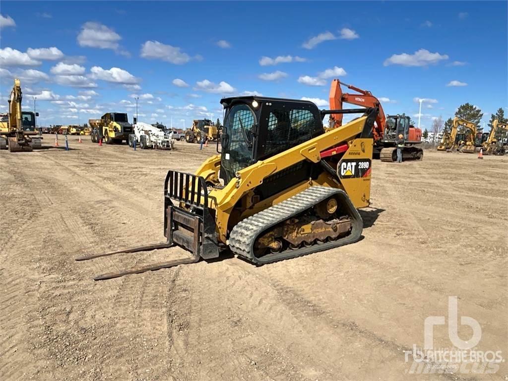 CAT 289D Mini Pale Gommate