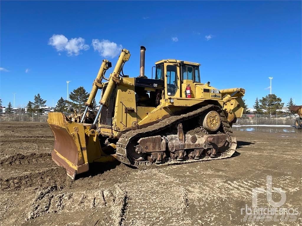 CAT D10N Dozer cingolati