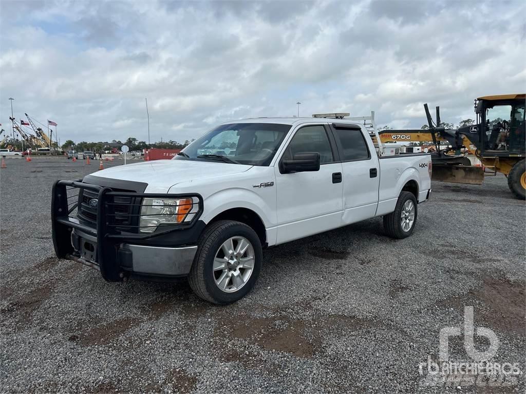Ford F-150 Pick up/Fiancata ribaltabile