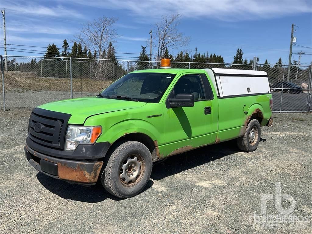 Ford F-150 Pick up/Fiancata ribaltabile
