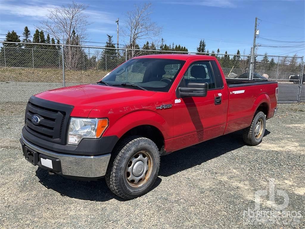 Ford F-150 Pick up/Fiancata ribaltabile