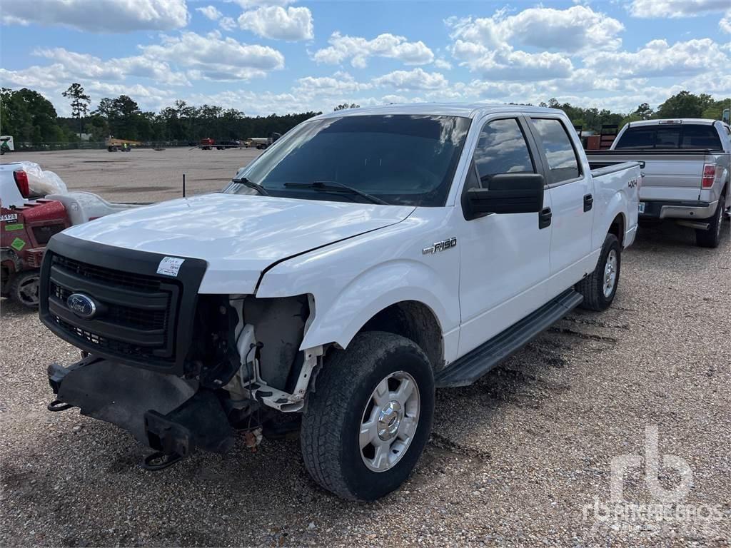 Ford F-150 Pick up/Fiancata ribaltabile