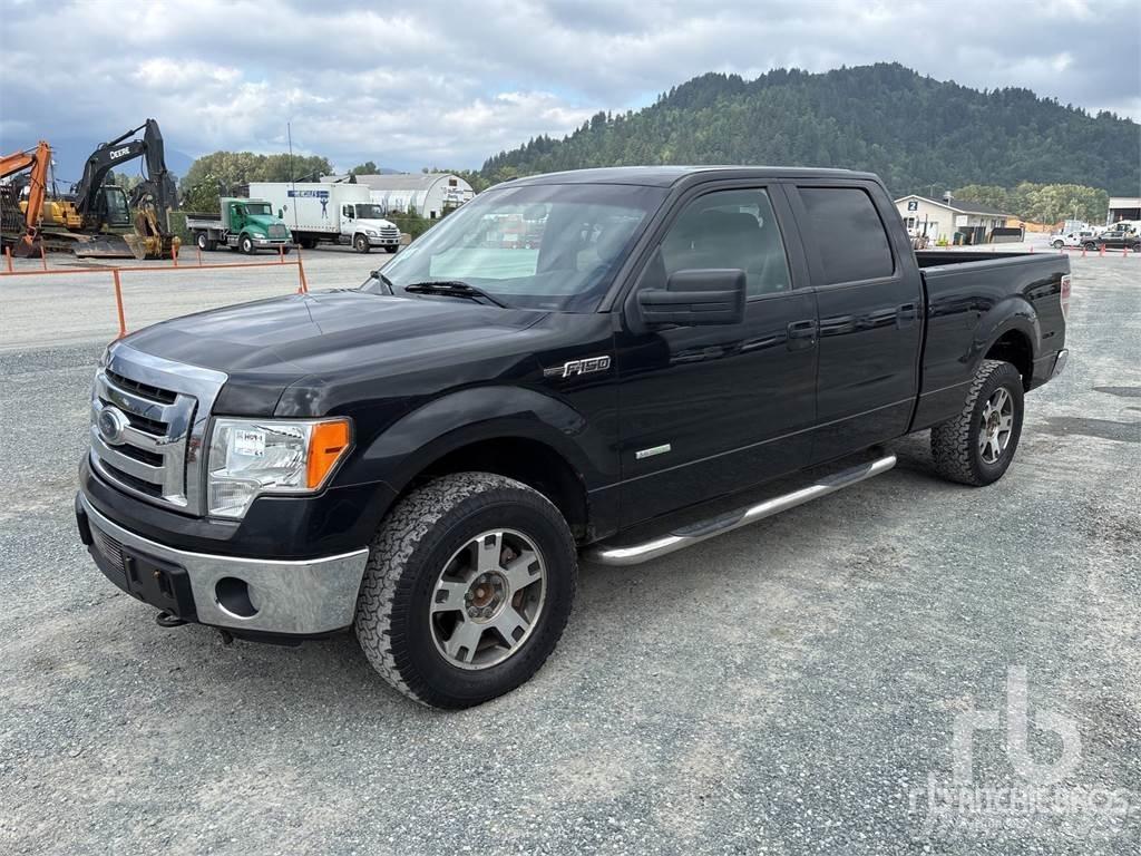 Ford F-150 Pick up/Fiancata ribaltabile