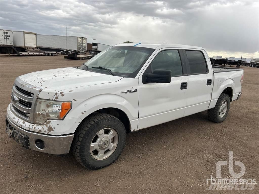 Ford F-150 Pick up/Fiancata ribaltabile
