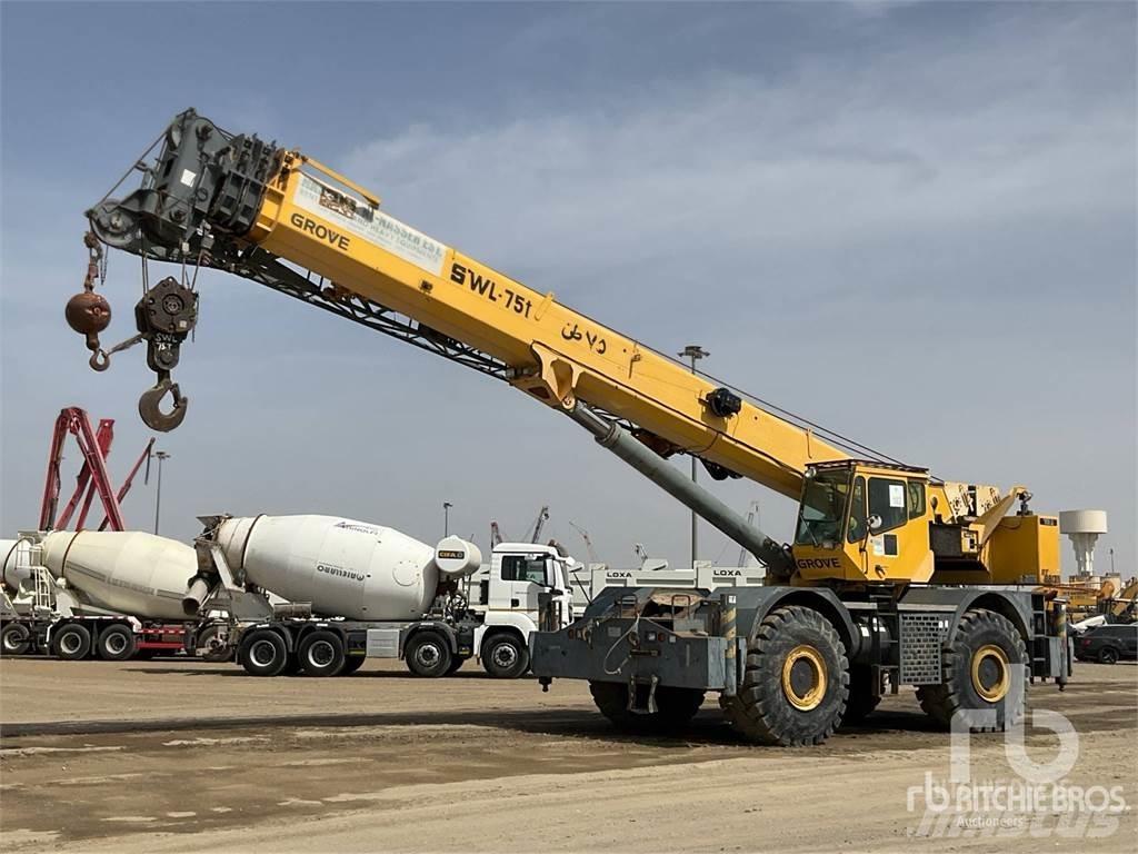 Grove RT880E Gru per terreni difficili