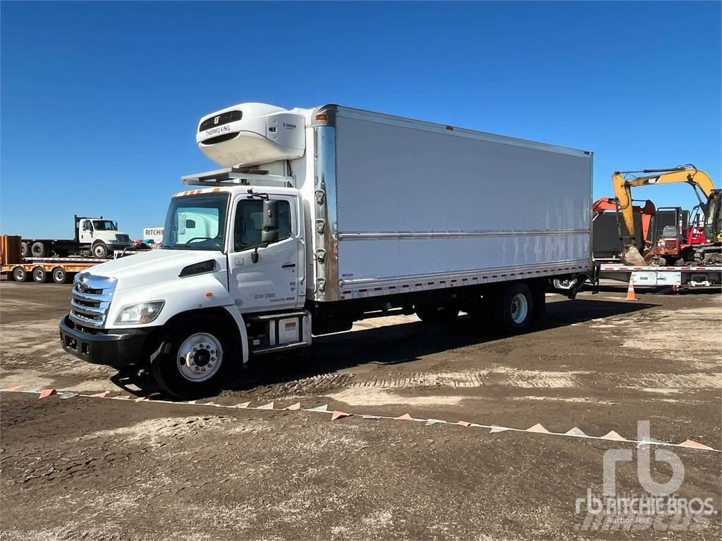 Hino 338 Van a temperatura controllata