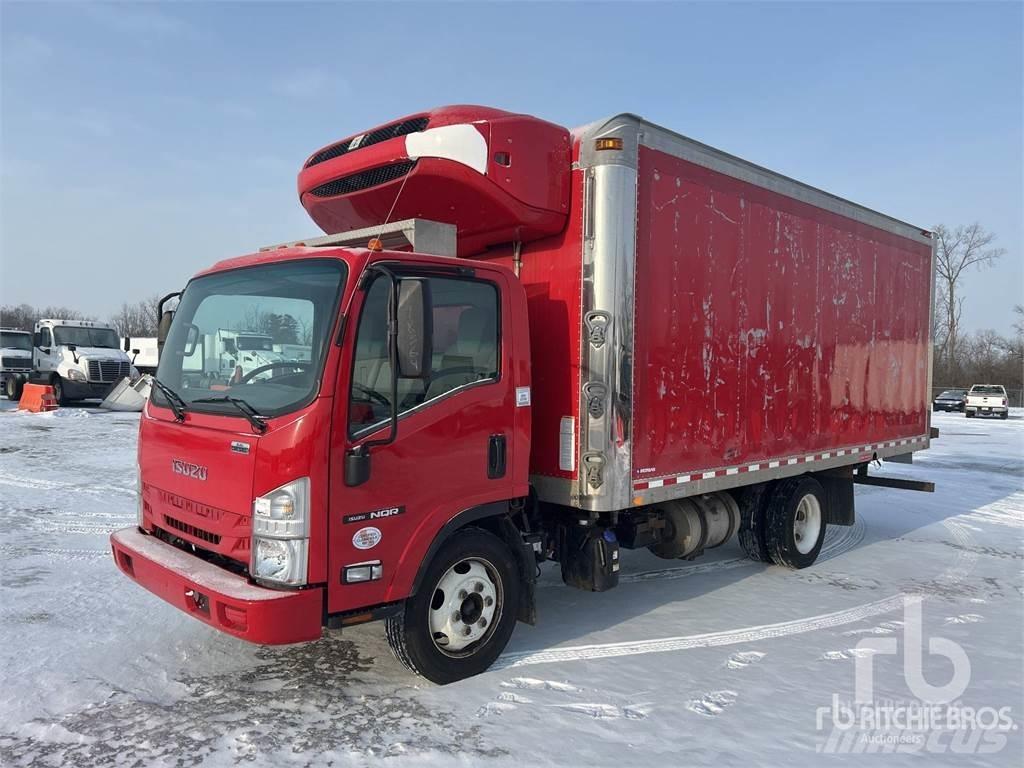 Isuzu NQR Van a temperatura controllata