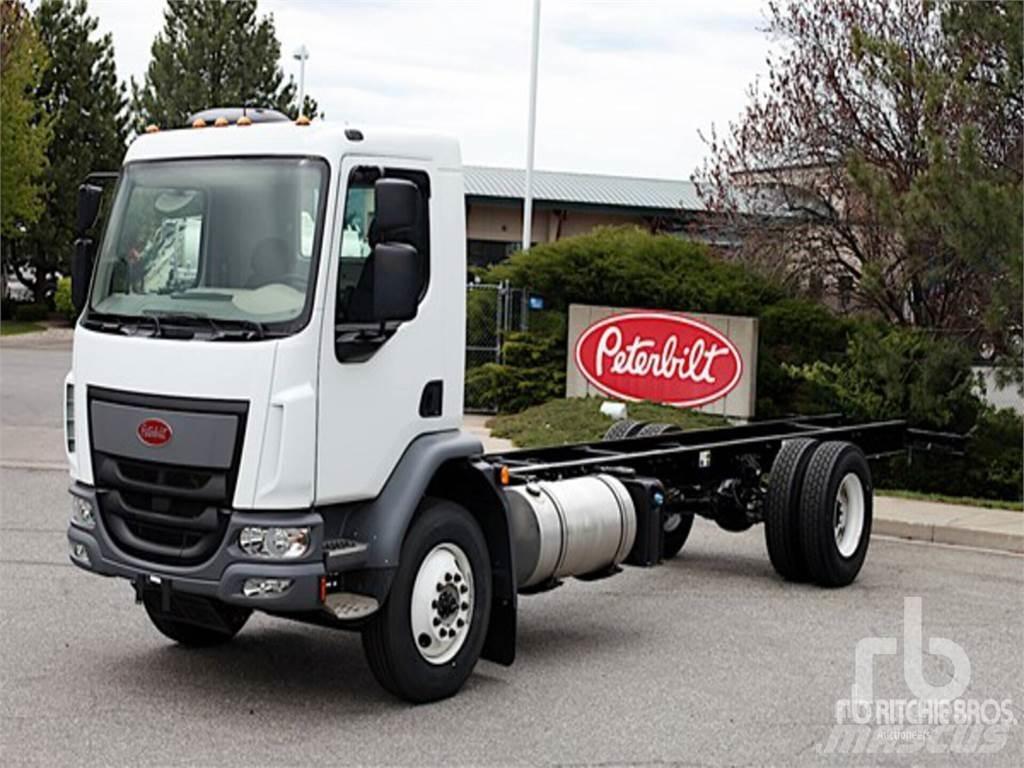 Peterbilt 220 Autocabinati