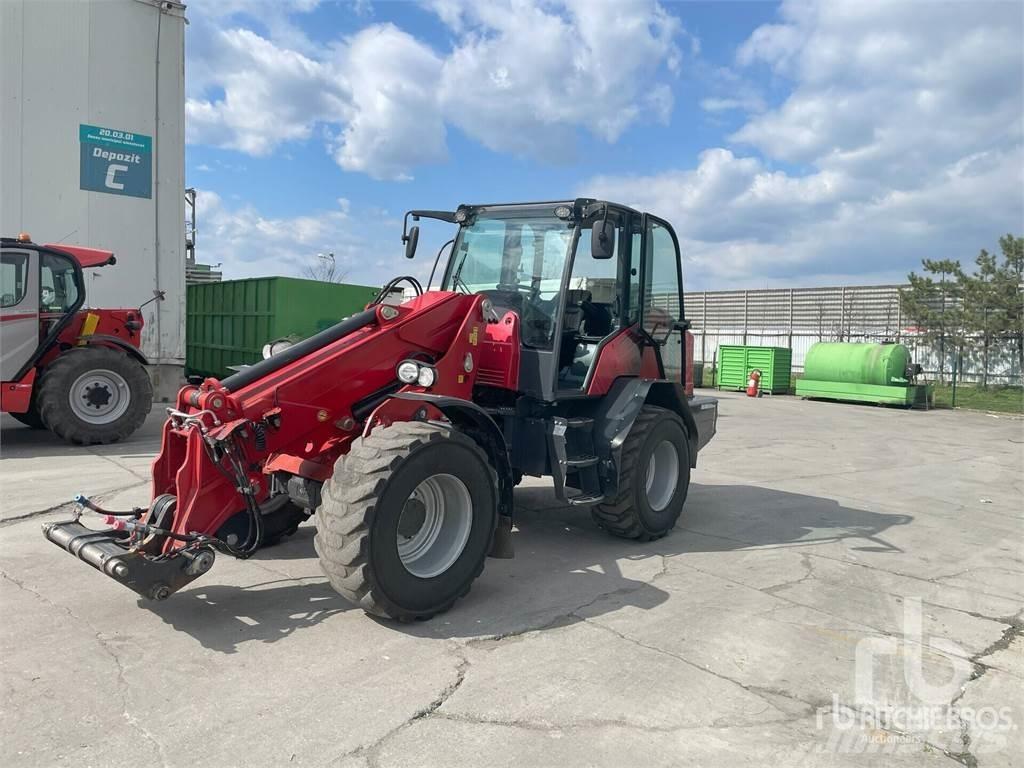 Schäffer 8620T Pale gommate