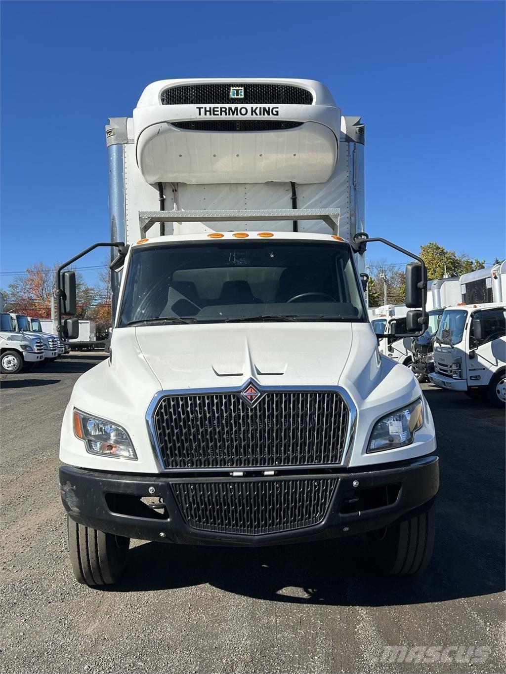 International MV607 Camion cassonati