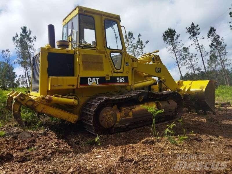 CAT 963 Pale cingolate