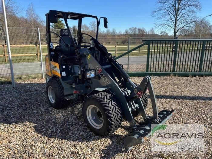 GiANT G2300 HD Pale gommate