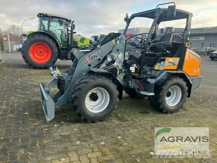 GiANT G3500 Pale gommate